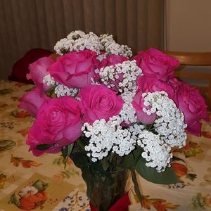 Meet your Posher, Dorothy